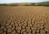 ONG alerta sobre impacto de crisis climática en México durante el Mundial