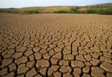 ONG alerta sobre impacto de crisis climática en México durante el Mundial
