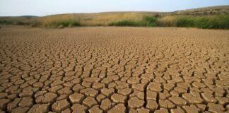 ONG alerta sobre impacto de crisis climática en México durante el Mundial