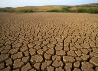 ONG alerta sobre impacto de crisis climática en México durante el Mundial
