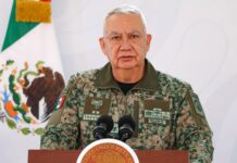 Defensa desactiva 625 minas del narco en Michoacán; atribuye siembra a disputa entre CJNG y grupos locales
