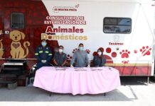 Gobierno Municipal de Tecámac realiza jornadas permanente de esterilización en beneficio de los seres sintientes
