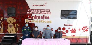 Gobierno Municipal de Tecámac realiza jornadas permanente de esterilización en beneficio de los seres sintientes