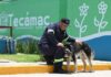 Gobierno municipal de Tecámac celebra Día Internacional del Perro con acciones a favor del bienestar integral de los seres sintientes