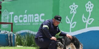 Gobierno municipal de Tecámac celebra Día Internacional del Perro con acciones a favor del bienestar integral de los seres sintientes