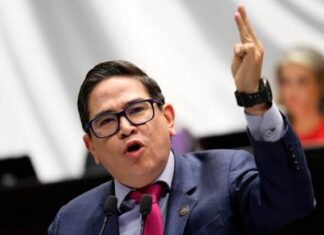 PAN demandará a animal experience y exige transparencia de Edomex, PROFEPA y Semarnat por omisiones en el rescate y muerte del tigre Kenzo