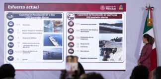 Sheinbaum anuncia inversión 2 mil mdp para combatir el sargazo en Quintana Roo. La estrategia: capturar en el mar, no en la playa