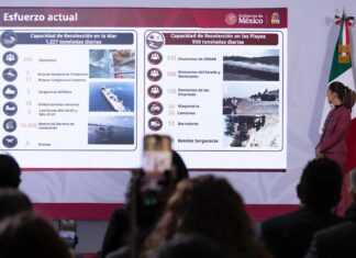 Sheinbaum anuncia inversión 2 mil mdp para combatir el sargazo en Quintana Roo. La estrategia: capturar en el mar, no en la playa