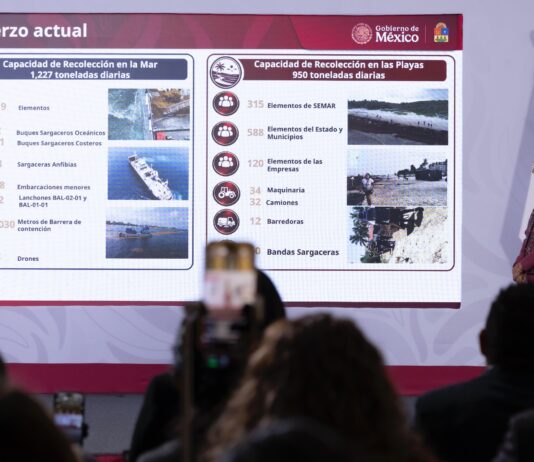 Sheinbaum anuncia inversión 2 mil mdp para combatir el sargazo en Quintana Roo. La estrategia: capturar en el mar, no en la playa