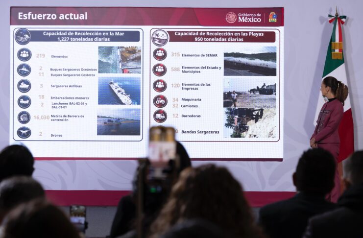 Sheinbaum anuncia inversión 2 mil mdp para combatir el sargazo en Quintana Roo. La estrategia: capturar en el mar, no en la playa