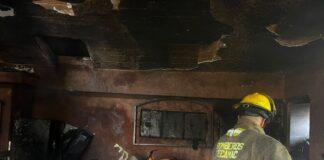 Protección Civil y bomberos de Tecamác atienden incendio en vivienda y salvaguardan a adulto mayor