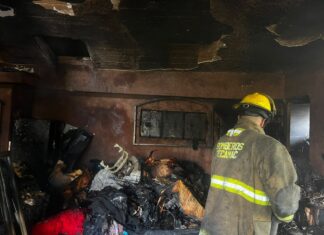 Protección Civil y bomberos de Tecamác atienden incendio en vivienda y salvaguardan a adulto mayor