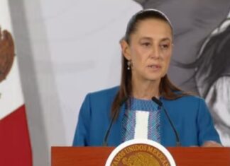 Sheinbaum descarta privilegios para exdirector de Pemex acusado de violencia familiar