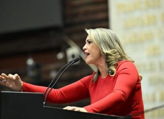 El INEHRM no debe ser un centro de adiestramiento populista, sino de análisis, investigación y docencia: PAN