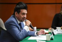Tren Maya es la amenaza mortal diaria; PAN exige bitácoras de control y reporte de incidencias semestralmente