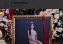 Sheinbaum deslinda a Sedena por muerte de Dafne Zapata en Tamaulipas; investigación corresponde al estado