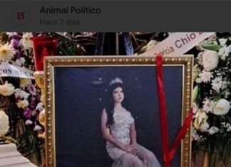 Sheinbaum deslinda a Sedena por muerte de Dafne Zapata en Tamaulipas; investigación corresponde al estado