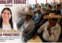 En el plan Guerrero Guadalupe Eguiluz propone créditos accesibles para productoras y productores de Guerrero
