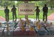 Aseguran más de una tonelada de presunta cocaína en puerto de Lázaro Cárdenas