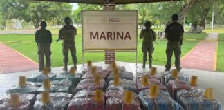 Aseguran más de una tonelada de presunta cocaína en puerto de Lázaro Cárdenas