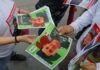 Buscan a tres adolescentes desaparecidos tras graduarse de secundaria en Guadalajara