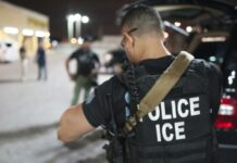 Sheinbaum condena redadas migratorias de Trump; exige respeto a derechos humanos tras muerte de mexicano en operativo del ICE