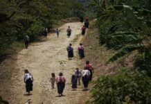 Pueblos indígenas de Chiapas denuncian persecución por defender sus territorios