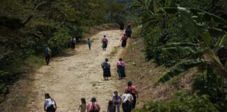 Pueblos indígenas de Chiapas denuncian persecución por defender sus territorios