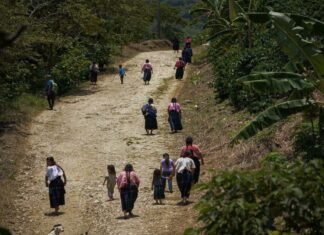 Pueblos indígenas de Chiapas denuncian persecución por defender sus territorios