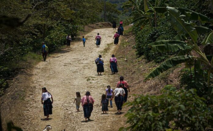ONG denuncian despojo, desplazamientos y criminalizaciÛn contra indÌgenas de sur de MÈxico