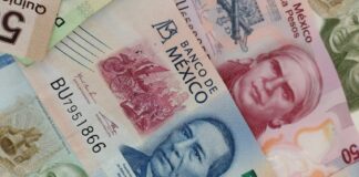 Hacienda recupera casi 2 mil 600 mdp de impuestos adeudados por Topo Chico