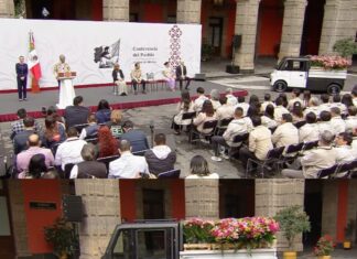 Olinia Carga llegará en 2027: costará 150 mil pesos y México abre su producción a inversión mixta