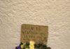 De la Ciudad / ¿Impunidad y negligencia?