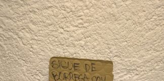 De la Ciudad / ¿Impunidad y negligencia?