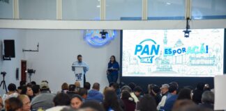 Iniciativa de ley de derechos digitales para infancias, tardía y a medias: PAN