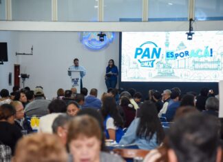 Iniciativa de ley de derechos digitales para infancias, tardía y a medias: PAN