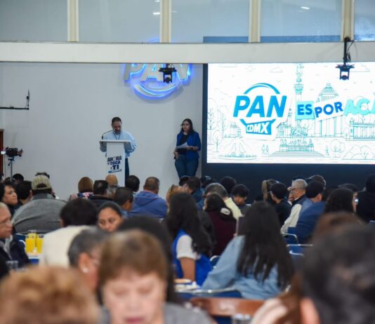 Iniciativa de ley de derechos digitales para infancias, tardía y a medias: PAN