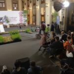 México va por reforestación histórica: plantará más de seis millones de árboles mientras pierde 204 mil hectáreas de bosques al año