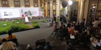 México va por reforestación histórica: plantará más de seis millones de árboles mientras pierde 204 mil hectáreas de bosques al año