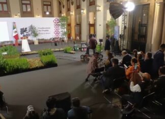 México va por reforestación histórica: plantará más de seis millones de árboles mientras pierde 204 mil hectáreas de bosques al año