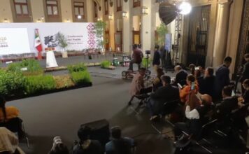 México va por reforestación histórica: plantará más de seis millones de árboles mientras pierde 204 mil hectáreas de bosques al año