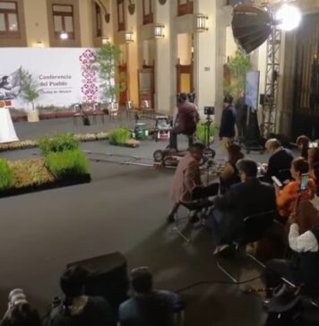 México va por reforestación histórica: plantará más de seis millones de árboles mientras pierde 204 mil hectáreas de bosques al año