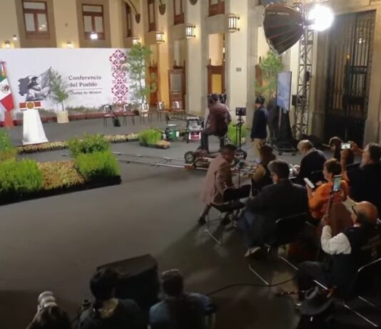 México va por reforestación histórica: plantará más de seis millones de árboles mientras pierde 204 mil hectáreas de bosques al año