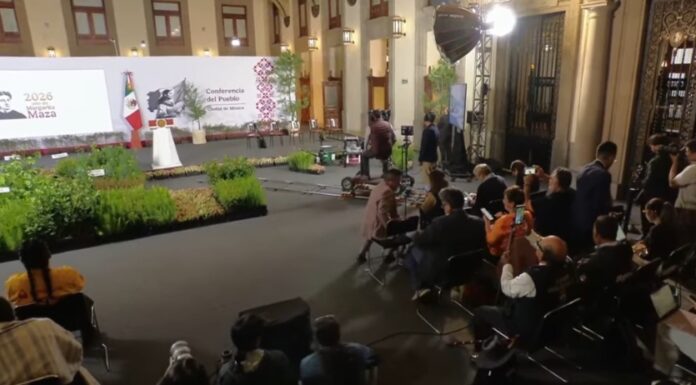 México va por reforestación histórica: plantará más de seis millones de árboles mientras pierde 204 mil hectáreas de bosques al año