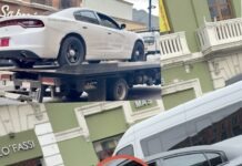 Lente Político / Pachuca: una película de policías, perros y… nada