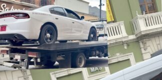 Lente Político / Pachuca: una película de policías, perros y… nada