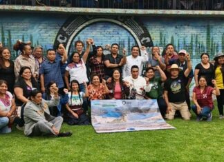 Pueblos indígenas de seis países exigen respeto a sus territorios y plantean siete demandas frente a proyectos energéticos