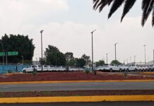 ¿Nuevo negocio en el AICM?
