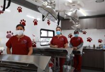 Alcaldesa Rosi Wong impulsa jornadas gratuitas de esterilización animal en Tecámac: estas son las fechas para este mes de agosto
