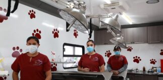 Alcaldesa Rosi Wong impulsa jornadas gratuitas de esterilización animal en Tecámac: estas son las fechas para este mes de agosto